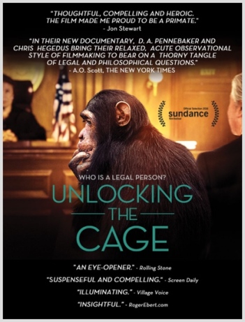 Unlocking The Cage - Synopsis Image