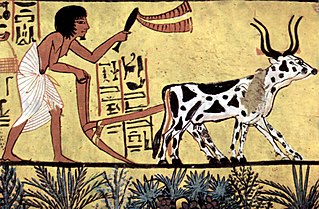 Egypt, 1200 bc, ploughing